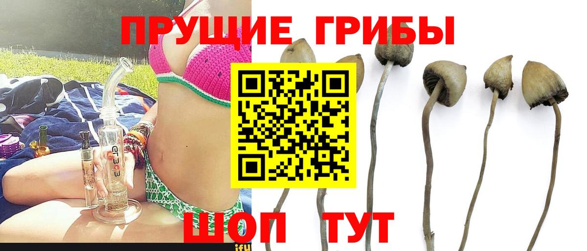Псилоцибиновые грибы прущие грибы  Вход с VPN  Усть-Илимск 